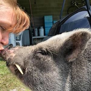 Meet your Posher, Joyce